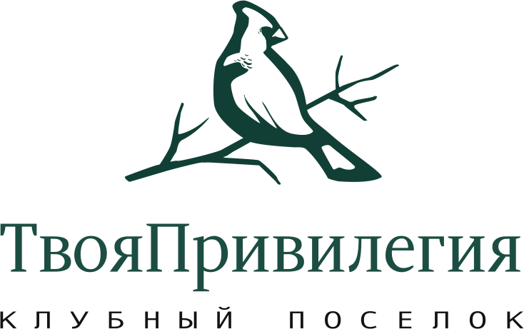 Твоя привилегия
