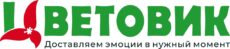 Цветовик 