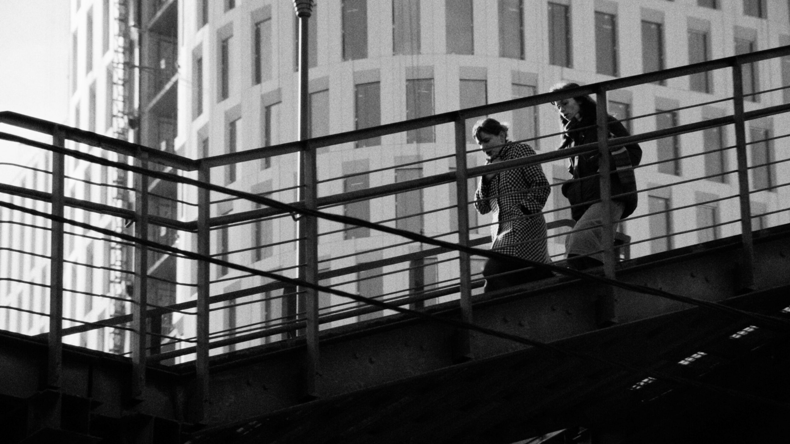 Картины дружеских связей