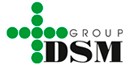 DSM Group