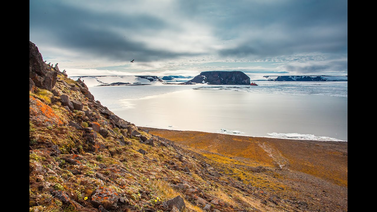 Голоса Бухты Тихой