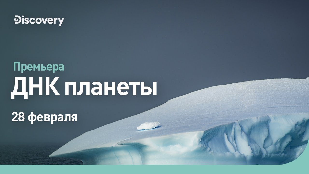 ДНК планеты | Арктика | Discovery