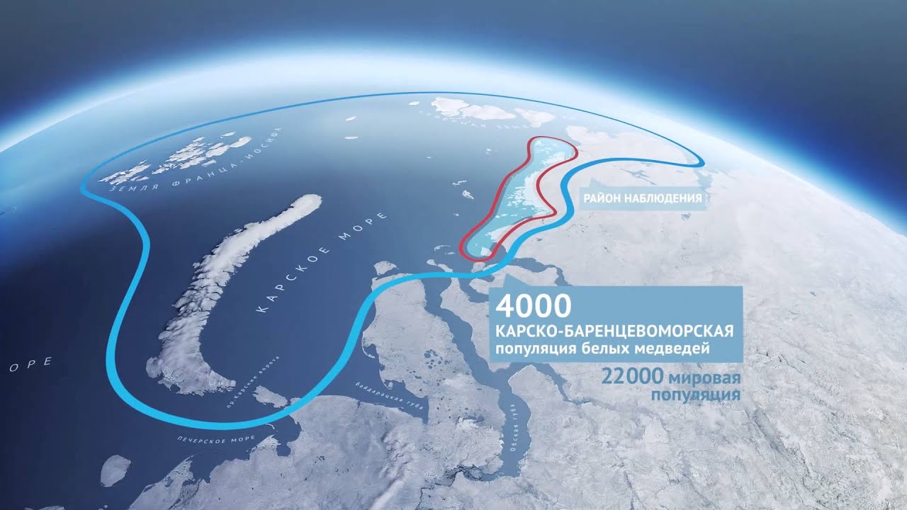 80 ЛЕТ В РОССИЙСКОЙ АРКТИКЕ // НОРИЛЬСКИЙ НИКЕЛЬ