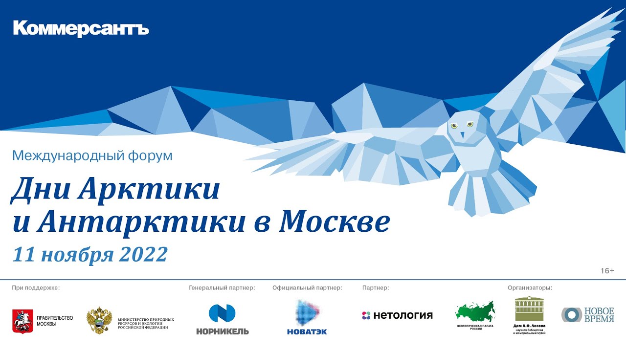 превью