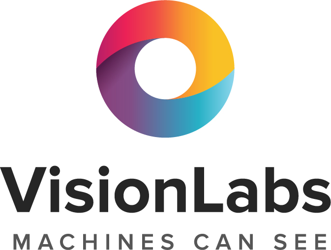 VisionLabs