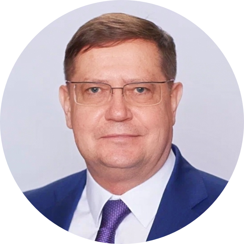 Анатолий Домников
