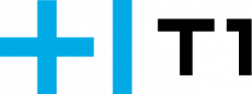 Группа компаний Т1