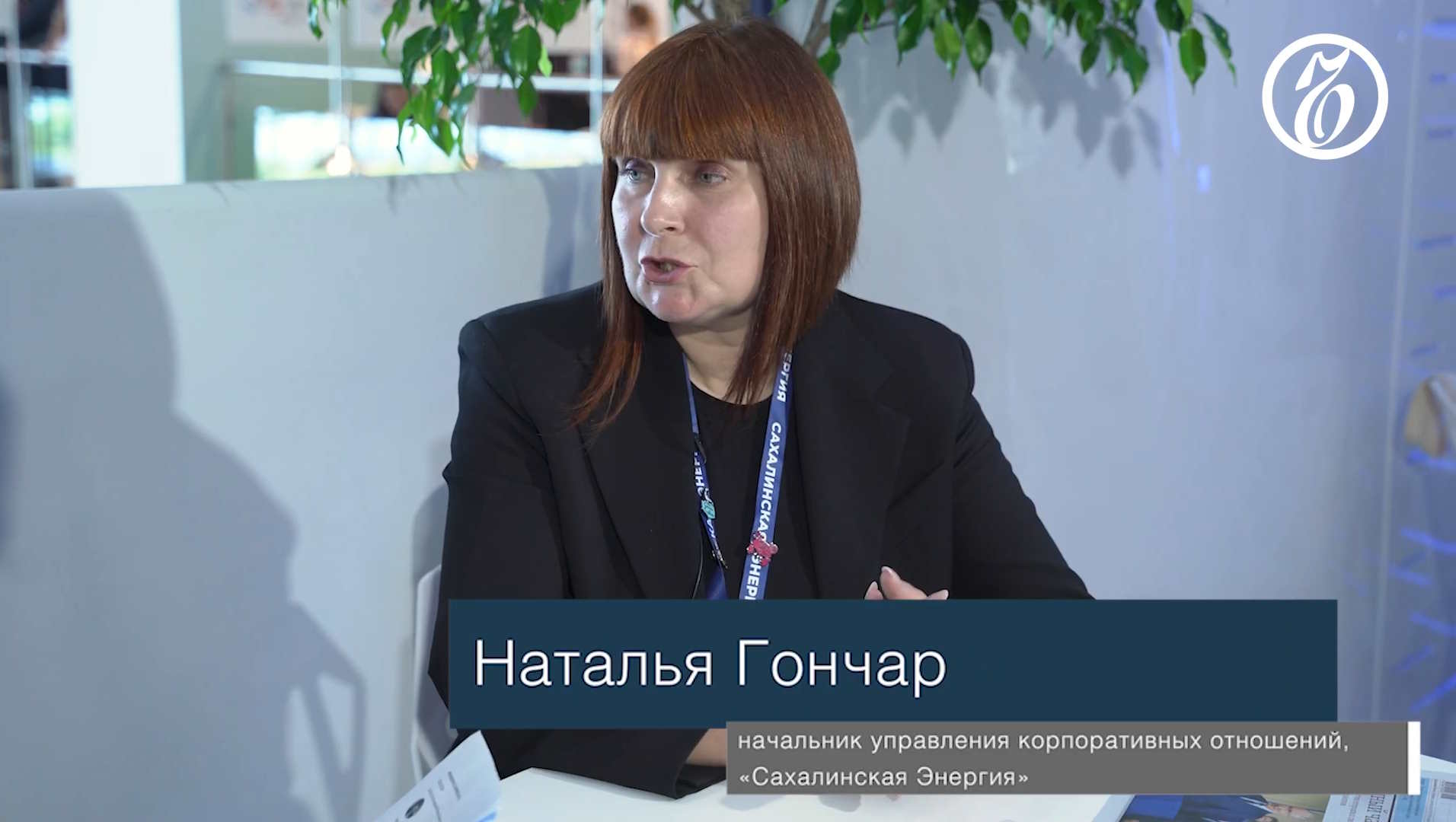 превью
